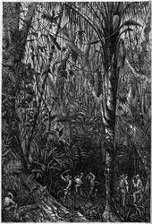 Desenvolvimento rodoviário na América Central: A perfuração da estrada nicaraguense através de uma floresta virgem (desmatamento). Desenho do Tenente Olivier, membro da expedição do Capitão Bedford Pim (1826-1886). Gravura em "O Universo Ilustre".