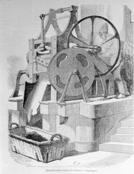 Royal Tobacco Factory: tabaco de haxixe.