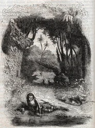 Ruggiero na ilha de Alcina, - 1851 gravura do poema Orlando furioso (1516) de Ludovico Ariosto, - Edição traduzida do italiano pelo Conde de Tressan e publicada por Gustave Harvard 1851