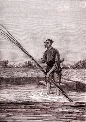 Ferrugem do bambu molhado, fabrico de papel na China (século III a.C.) (gravura)