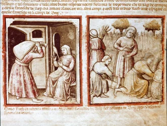 Ruth e Noemi (Naomi, Noemie) trabalhando nos campos de Boaz (Booz) Miniatura do códice 212 (ou códice padovano ou Bíblia de Pádua) 1390-1400 Rovigo, Accademia dei Concordi