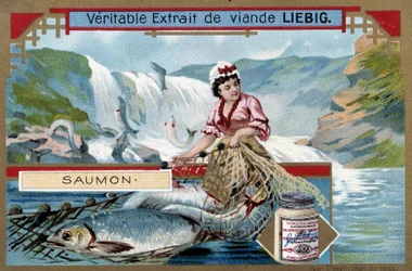 Pesca do salmão - cromo do século XIX.