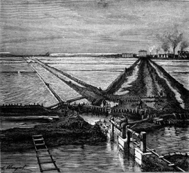 Produção de sal: vista de uma salina (pântano salgado) na costa mediterrânica. Gravura do século XIX