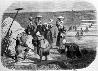 Produção de sal: mulheres que trabalham em pântanos salgados. Gravura do século XIX