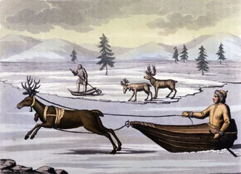 Povo Sami: os povos indígenas que vivem nas terras dos países do norte (Noruega, Finlândia, Suécia e Rússia) se movem de tobogã de renas ou de esquis. Gravura do século XIX