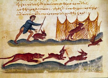Cena de caça de lebre Miniatura retirada do comércio de caça "The Cynegetics" de Oppian (Oppian ou Oppianus) da Síria (século III d.C.) dedicada a Caracalla. Veneza do século XI. Biblioteca Marciana
