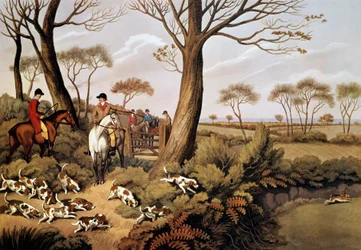 Cena de lebres de caça na Inglaterra. Litografia do século XIX Gien, museu da caça