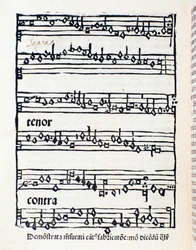 Página de partituras para estudos musicológicos e documentos de Nicola Burzio