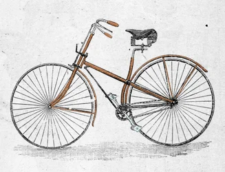 Modelo de bicicleta de corpo reto.