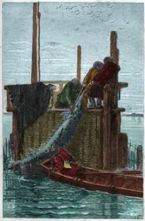 A pesca do Sturgeon no Rio Volga. (Storione) (Acipenser sturio)