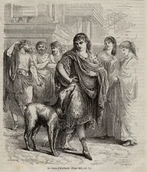 O cão de Alcibiades - O cão de Alcibiades estadista e orador e general ateniense, gravura 450-404 AC de 1864
