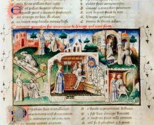 “" O Romano da Rosa": "Como Pygmalion se apaixonou pela estátua que tinha feito". Miniatura do século XIV. Biblioteca da Universidade de Valência.