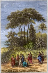 A Escola de Pitágoras - Pitágoras entre seus alunos em Crotona - gravura de 1879 - O filósofo Pitágoras e seus discípulos sob o sombreado de Crotone, gravura de 1879