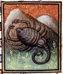 O Escorpião. Miniatura de um horóscopo. Manuscrito do século XV. Biblico. Trivulziana, Milão.