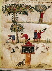 A criação e treino de falcões miniatura da caça "The Cynegetics" de Oppian (Oppian ou Oppianus) da Síria (século III d.C.) dedicada a Caracalla. Veneza do século XI. Biblioteca Marciana
