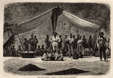 A refeição comum dos trabalhadores após a coleta de feves de café, que secam no chão em primeiro plano; no centro da imagem, o dono da plantação fecha e cocar de branco. Gravura para ilustrar a viagem ao Brasil, história de M.