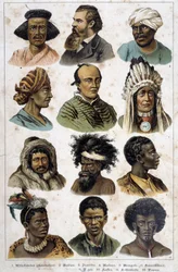 As diferentes raças humanas - em «Histórias naturais dos mamíferos», ed. Schreiber