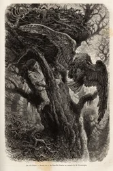 A águia protegendo o seu ninho do intruso. Gravura para ilustrar a história Quatre mois en Florida, de M. Pousselgue, em 1851-1852, publicada em "le tour du monde", sob a direção de D