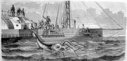 A primeira lula-gigante capturada em 1861 pela corveta francesa Alecton. Quando a tripulação a içou a bordo, partiu-se em duas e desapareceu no fundo do mar. Gravura do final do século XIX. Breton