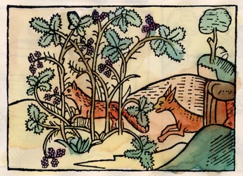 A raposa e as uvas. Fábula de Asop (gravura do século XVI)