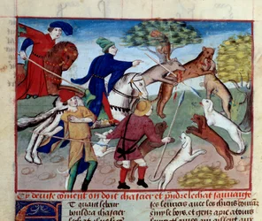 A caça ao gato selvagem Miniatura tirada de "O livro de caça" de Gaston III Phoebus, Conde de Foix, Senhor de Bearn (1331-1391)