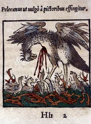 A lenda do pelicano: ele dá o seu sangue e intestinos para alimentar as suas crias. De Historiae animalium, de Konrad Gesner, Tiguri.