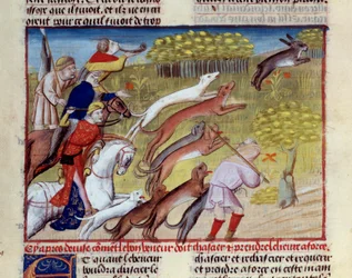 A caça à lebre em miniatura de "O livro de caça" de Gaston III Febus, Conde de Foix, Senhor de Bearn (1331-1391)