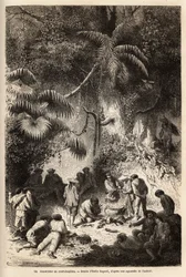 A preparação de uma refeição na floresta primitiva do vale do Caravaya (Cordilheira dos Andes), uma jibóia com caldo curto. Engravure pour illustrrer le voyage dans les vallees de Quinquinas (Peru), de Paul Marcoy, em 1849-1861, publicado em "Le tou
