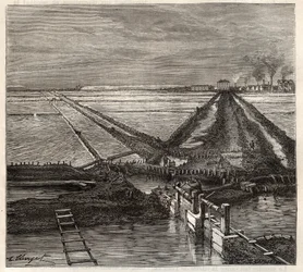 O pântano salgado de Giraud no Camargue (Bouches-du-Rhone), vista do canal de serviço - gravura em 