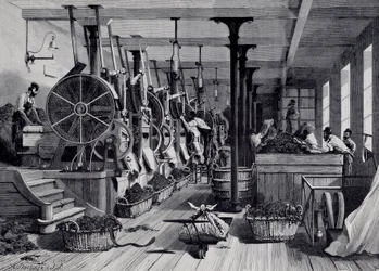 Fábrica de tabaco, lavandaria e rapagem de tabaco. Gravação por volta de 1867. Paris, Musee Carnavalet