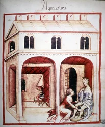 Tratado de medicina "Tacuinum sanitatis" do século XIV: o uso da água quente. B.N., Viena.
