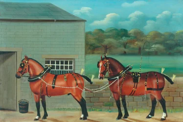 Dois cavalos no chicote de fios, c.1910