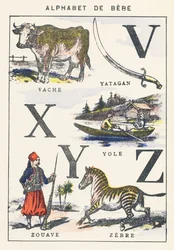 VXYZ: vaca, yole, zouave, zebra