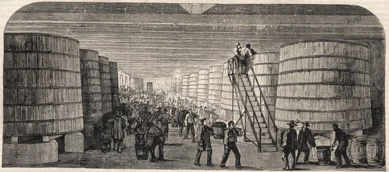 Vista da adega do Chateau - Lafitte em 1860