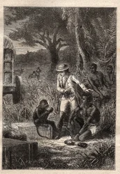 Voyage dans la Caffrerie (África do Sul) (1781) por François Levaillant (Le Vaillant) (1753-1824): Levaillant e seu macaco degustador Maitre Kees, que prova os frutos e raízes para verificar se são comestíveis - ilustração tirada de "Les Gra