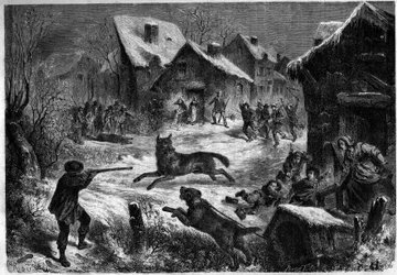 A caça ao lobo na aldeia de Saliers, Bouches du Rhone (13), 31 de Dezembro de 1860. Gravura em "Le Monde Illustré" n¡196 de 12 de Janeiro de 1861.