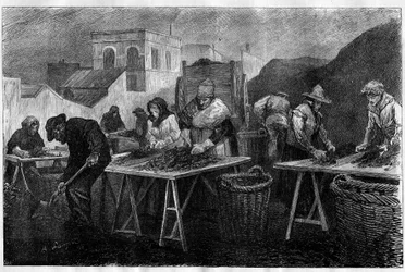Trabalhadores em França: Classificadores de coque (Variedades de carvão resultantes da destilação do carvão, utilizadas no aquecimento) numa fábrica de gás em Paris Gravação no "Le Monde Illustré".