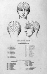 ilustração do livro de Charles Rouvin de 1873 Organographie La Tête humaine, estudos ilustrados de frenologia e fisionomonia aplicados a personagens famosos Paris 1873