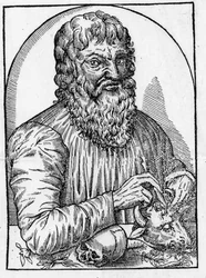 retrato de Hipócrates (460- por volta de 377 a.C.), médico grego.