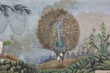 Um pavão, pormenor de 3743687
