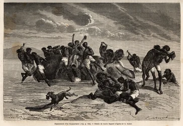 Depois de retirar a sua parte e a parte atribuída ao chefe da tribo Hamran, a multidão luta brutalmente pelos pedaços restantes. Gravura para ilustrar a exploração dos afluentes abissínios do Nilo, por Sir Samuel W. Baker, em