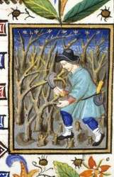 Representação alegórica de Março. Um homem que corta arbustos (camarões). Miniatura de um manuscrito do século XIV.