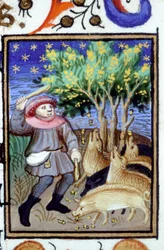 Representação alegórica de Novembro. Um homem com um grupo de porcos comendo bolotas. Miniatura de um manuscrito do século XIV.
