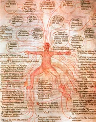 Gráfico anatômico ilustrando a circulação sanguínea Miniatura do manuscrito "De cirúrgia" do século XIII Veneza Biblioteca Marciana