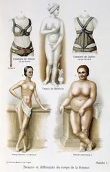 Beleza e deformidade do corpo da mulher (magra e obesidade); Cintos de Juno - em "A mulher, médica doméstica".
