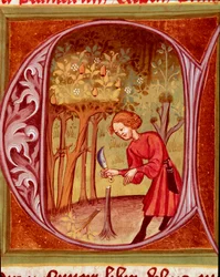 Botânica: um jardineiro a fazer um transplante. Miniatura de «O Rusticano ou Livro do proveito do campo e da agricultura» (Rerum ruralium commodorum) de Pietro de Crescenzi (Crescent Stone ou Crescens Stone) (1233-1320), século XIV. Praga, Biblioteca