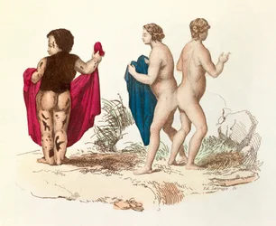 «Obras completas de Buffon»: História natural do homem: jovem pessoa negra com hirsutismo e siamês (gravura)