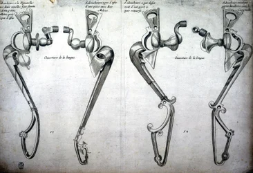 Desenho de pedaços de cavalo
