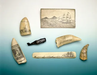 Dente de cachalote gravado, meados do século XIX (dente de baleia)