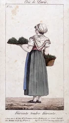 Comerciante de feijão verde - em "Cris de Paris", deb. Século XIX